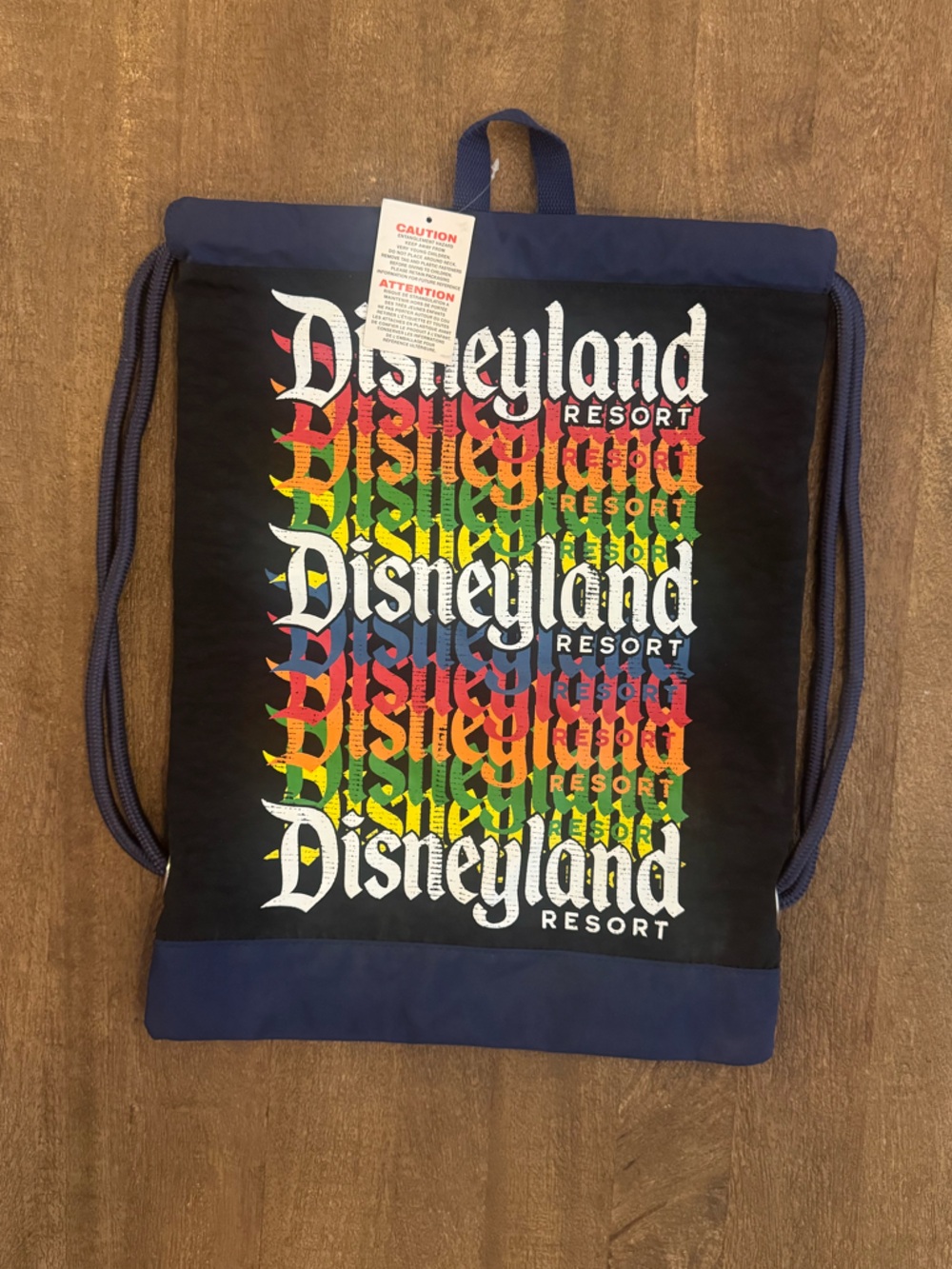 NEW Disneyland Resort Drawstring Backpack